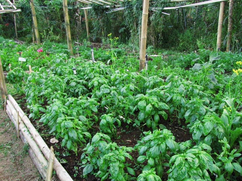 Bali Eco Village Plaga Экстерьер фото
